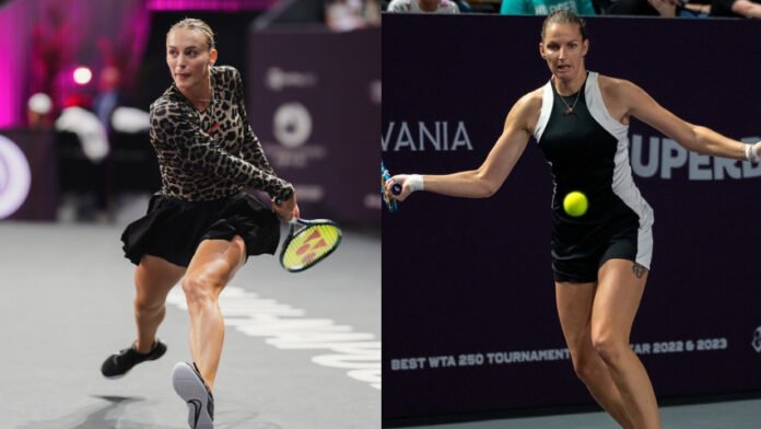 Bogdan y Pliskova decidirán a la monarca de Napoca