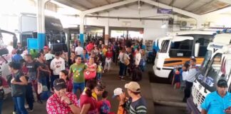 87 organizaciones de transporte ya están activas en el Terminal de Maturín