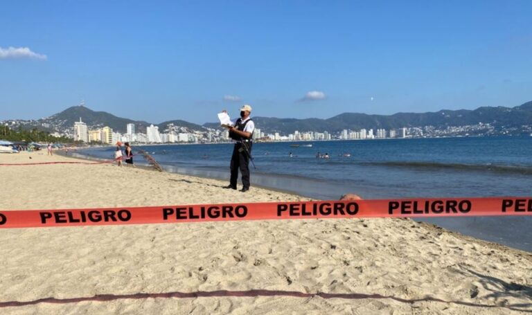Una ballena jorobada apareció muerta en las playas de Acapulco