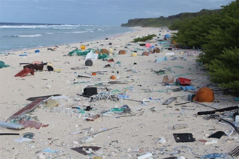Más de 50% aumentan los desechos en la playas durante las temporadas vacacionales
