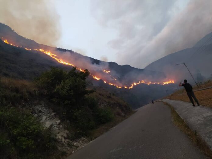 Autoridades de Táchira investigan causas de los incendios forestales