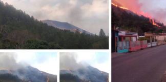 Controlan incendio forestal en el municipio Caripe de Monagas