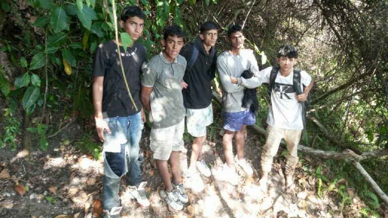 Rescatan sanos y salvos a cinco jóvenes extraviados en El Ávila