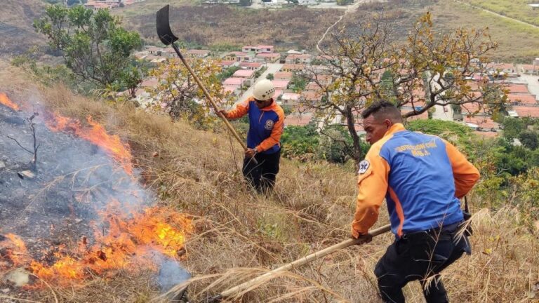 Autoridades mantienen labores para sofocar nuevos incendios en Parque Nacional Henri Pittier