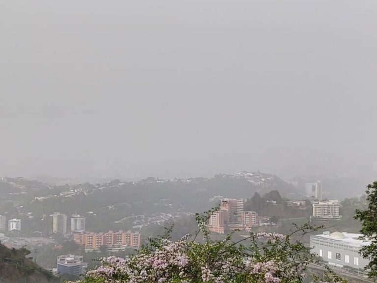 Polvo del Sahara afectará a Venezuela hasta el #10Mar