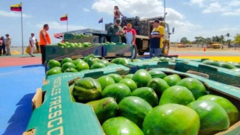 Comercio y Turismo de Coro reporta 270 toneladas de exportación de rubros a islas ABC