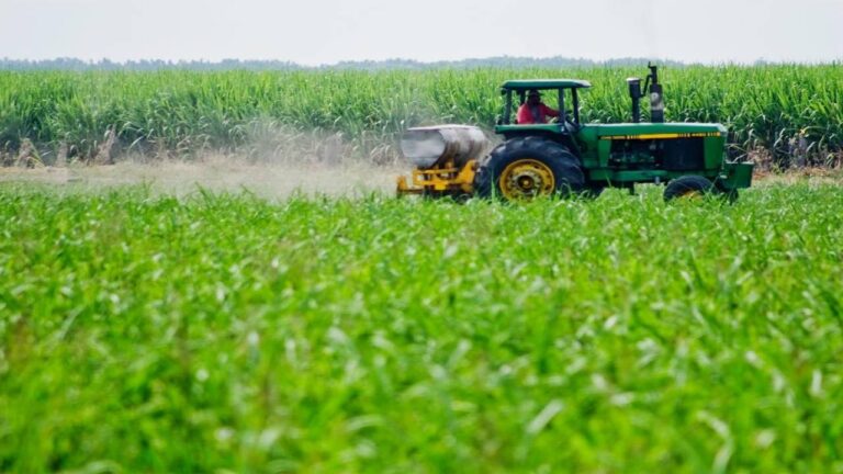 Fedeagro pide mantener exoneración de impuestos en el sector agropecuario