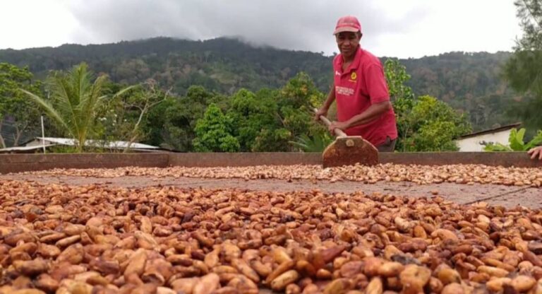 Día Nacional del Cacao: Productores resaltan la calidad del rubro procesado en Venezuela
