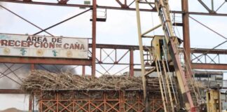 Registran cifra récord de caña de azúcar procesada en Portuguesa