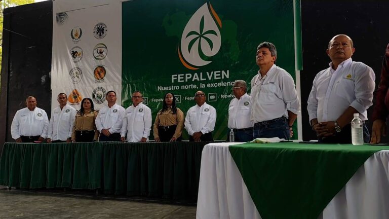 Organización palmera venezolana busca reducir niveles de importaciones con producción nacional