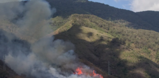 Incendios en Parque El Ávila