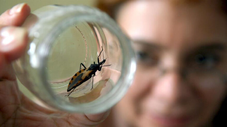 Especialistas advierten sobre el peligro de muerte súbita por enfermedad de Chagas
