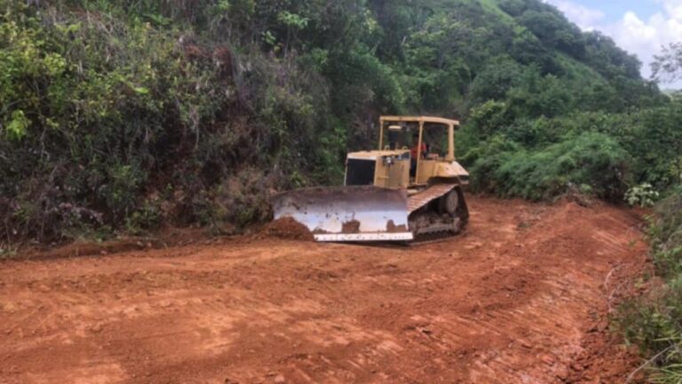 Sector agrícola incrementó operaciones en un 50%