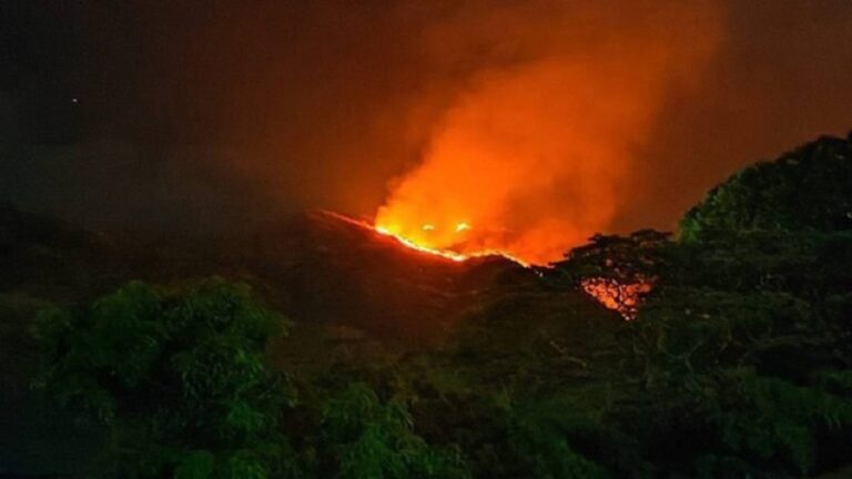 Detenidas 16 personas por provocar incendios forestales