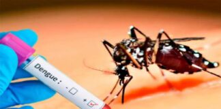 Solicitan control vectorial para prevenir la trasmisión del dengue