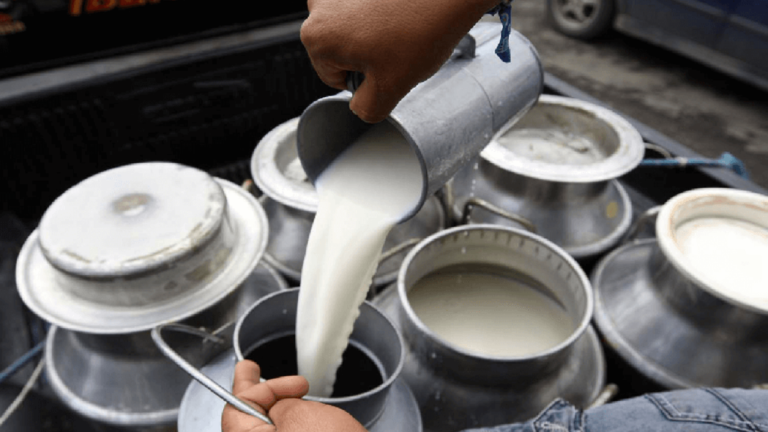 Producción agrícola y pecuaria comprometida por fallas eléctricas en Mérida