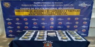 Autoridades localizaron 16 panelas de drogas en Paraguaná estado Falcón