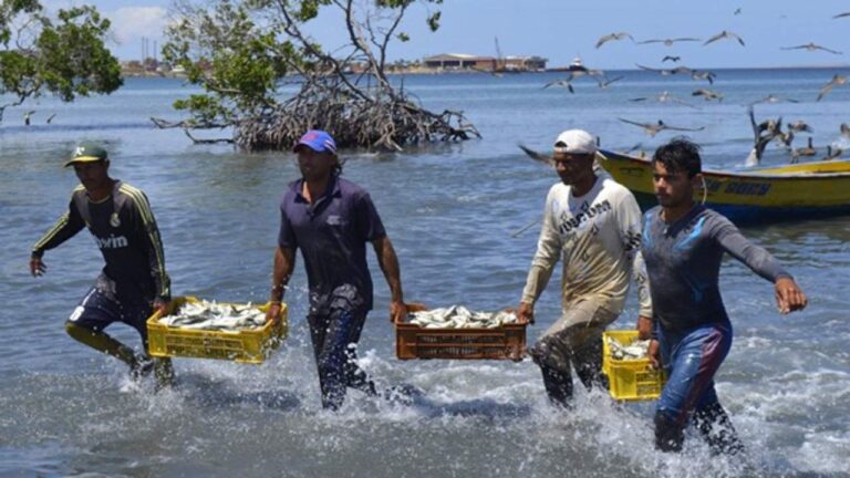 Pescadores en el estado Sucre denuncian que fueron marginados de la zafra de la sardina