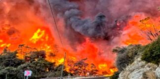 catorce muertos y decenas de heridos por los incendios forestales en Turquía