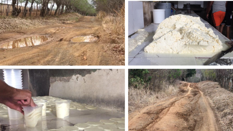 Deterioro de las vías rurales afecta la producción del Queso en Guárico