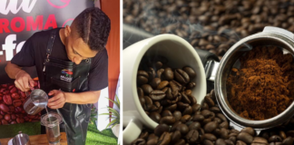 Caficultores aragüeños clasificaron al mejor Café de Especialidad Venezolano