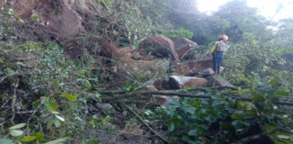 Reportan cierre de vía en carretera de Choroní por deslizamiento