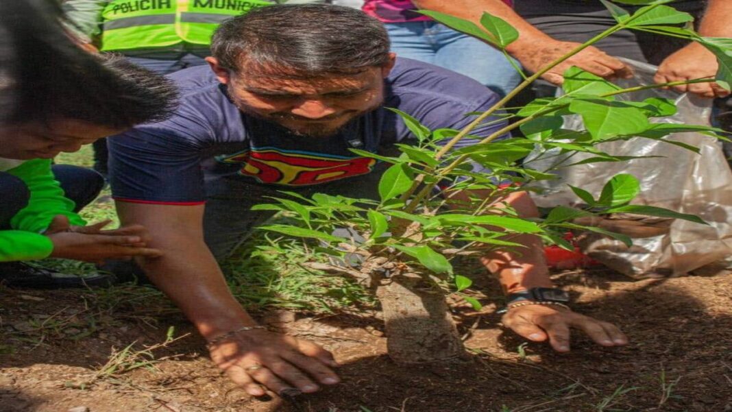Conmemoran el Día Internacional del Medio Ambiente sembrando mas de 200 árboles en Carabobo