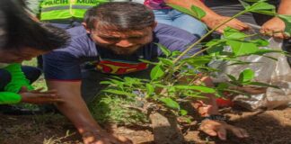 Conmemoran el Día Internacional del Medio Ambiente sembrando mas de 200 árboles en Carabobo