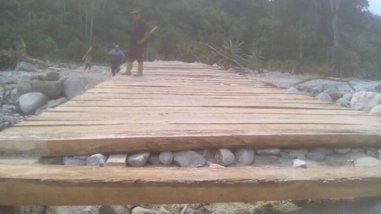 Puente de madera colapsó en Mérida cuando transitaba un camión