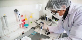 Perú establece sanciones para las infracciones en ciencia, tecnología e innnovación