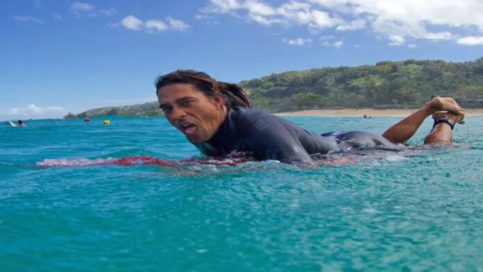 Surfista muere tras ser atacado por un tiburón en Hawái