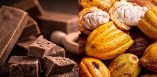 Venezuela celebra el 'Día del Chocolate' para promover su producción y exportación