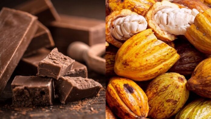 Venezuela celebra el 'Día del Chocolate' para promover su producción y exportación