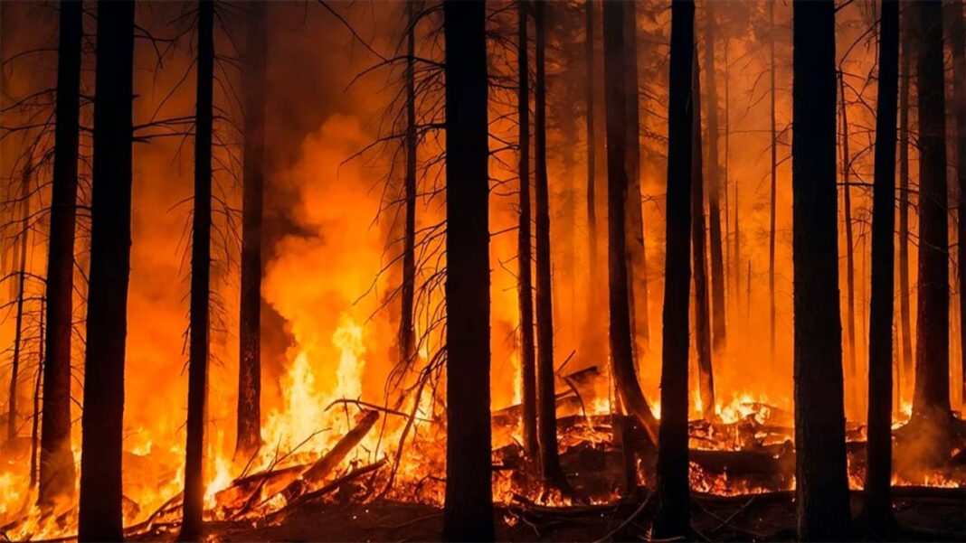 Marruecos prevé nivel de alerta roja de peligro de incendios forestales desde este sábado