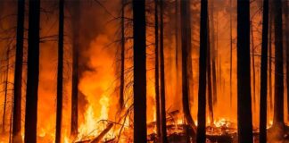 Marruecos prevé nivel de alerta roja de peligro de incendios forestales desde este sábado