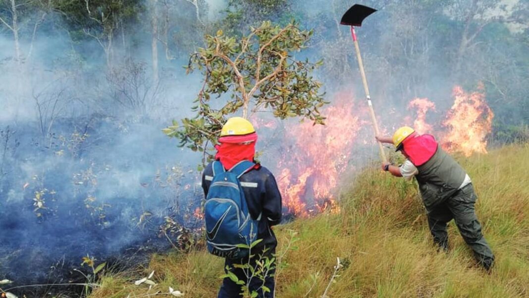 Se declara emergencia por los incendios forestales en la región oriental de Bolivia