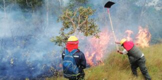 Se declara emergencia por los incendios forestales en la región oriental de Bolivia