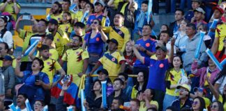 4 muertos en Colombia por riñas tras la final de la Copa América