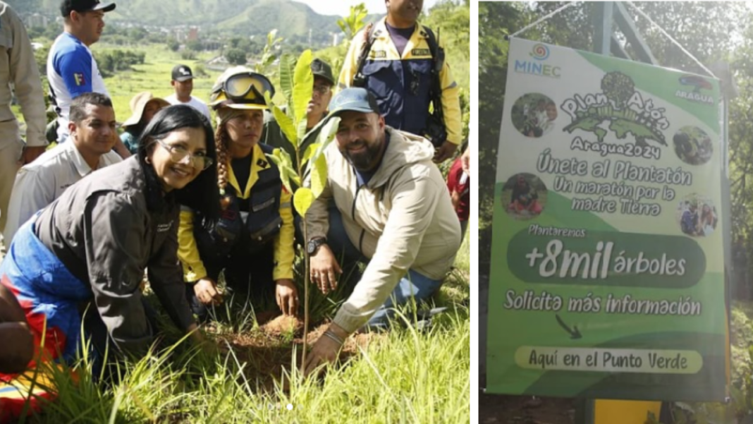 Inician jornada Plantatón Aragua 2024 en el Parque Nacional Henri Pittier