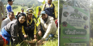 Inician jornada Plantatón Aragua 2024 en el Parque Nacional Henri Pittier