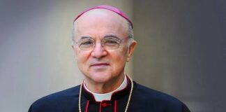 El Vaticano excomulga al arzobispo Viganò, acusado de "cisma" por sus ataques al papa Francisco