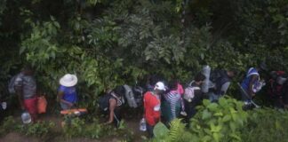 Desarticulan banda colombiana que gestionaba tráfico de migrantes por Darién y San Andrés