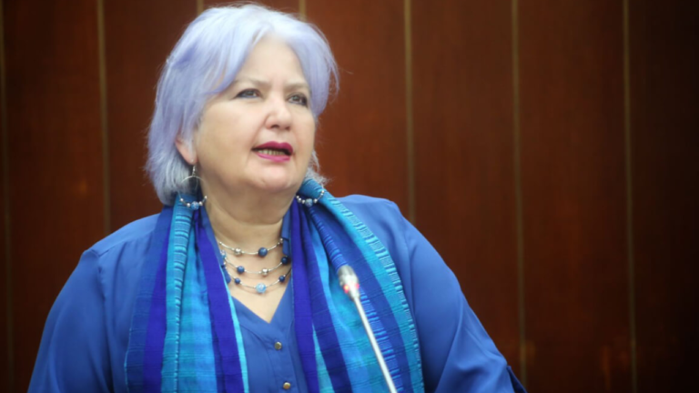 Veedora de Colombia resalta agilidad de la herradura electoral