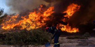 Grecia, en riesgo "muy alto" de incendios forestales por una intensa ola de calor