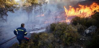Unos 1.200 turistas evacuados por un incendio forestal junto a un pueblo costero italiano