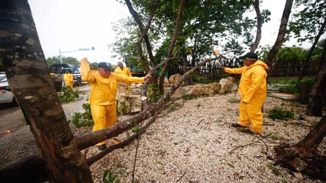 México restablece la electricidad a los casi 433.000 afectados por el huracán Beryl