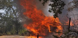 Un incendio supuestamente provocado en California se convierte en el más grande de 2024