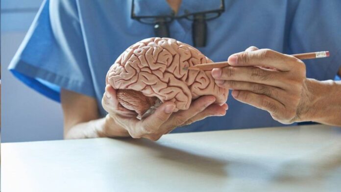 Un fármaco contra el cáncer podría ayudar a tratar el Alzheimer desde las primeras fases