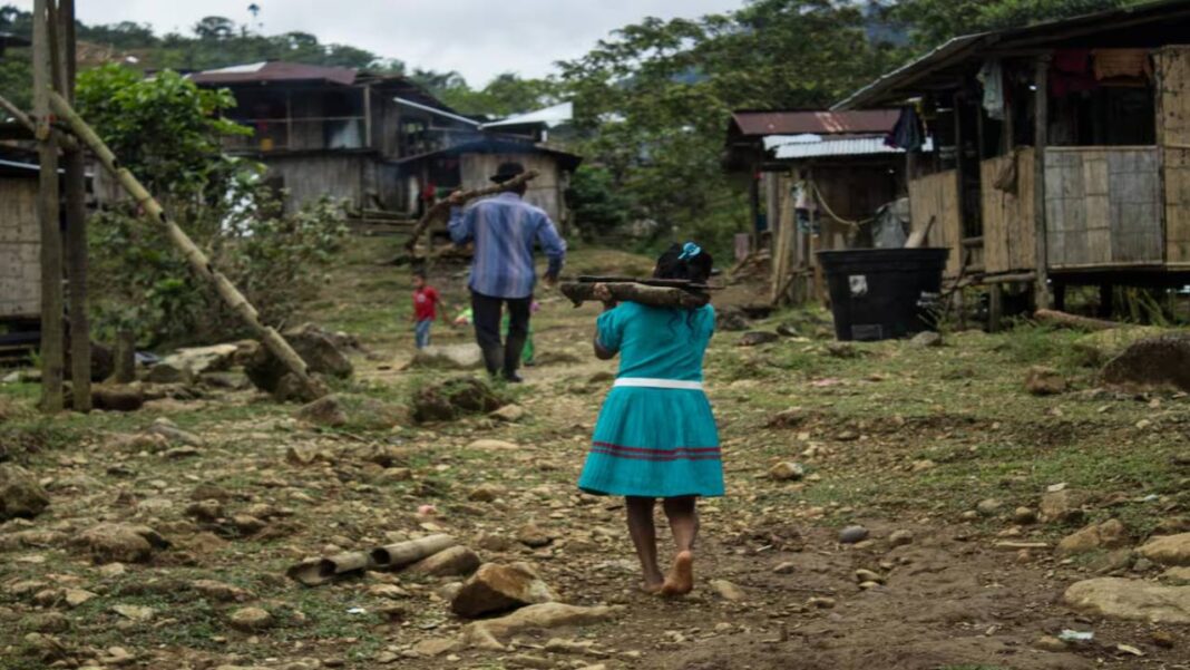 Más de 160 indígenas tienen paludismo en la zona de 'paro armado' del ELN en Colombia