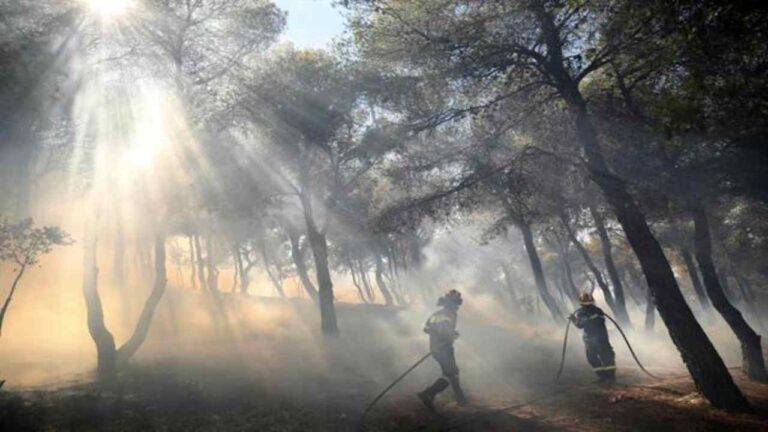 Controlado el gran incendio que quemó 10 mil hectáreas en las afueras de Atenas